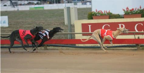 greyhoundchannel|Greyhound.